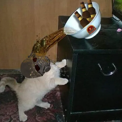 Кот пьёт пиво из гроба