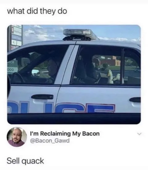 Sell Quack Police Car