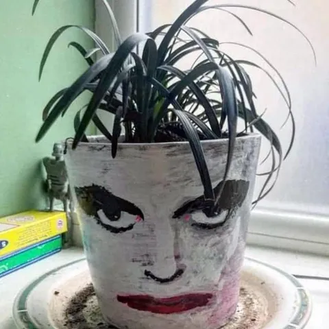 Суровый горшок с лицом