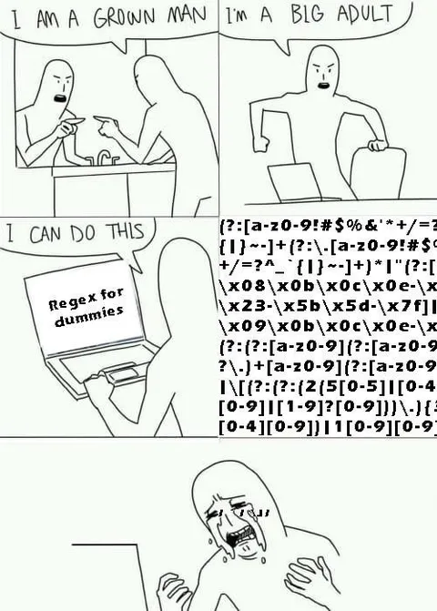 Regex for Dummies Confidence Crash