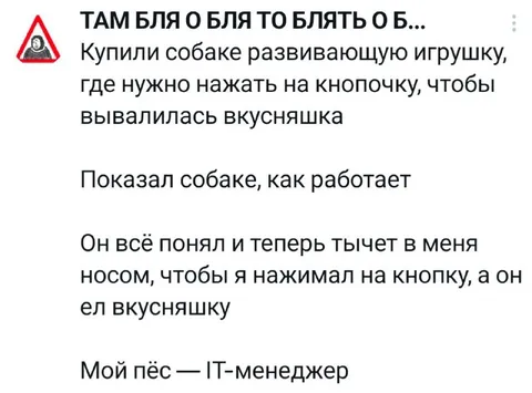 Мой пёс — IT-менеджер