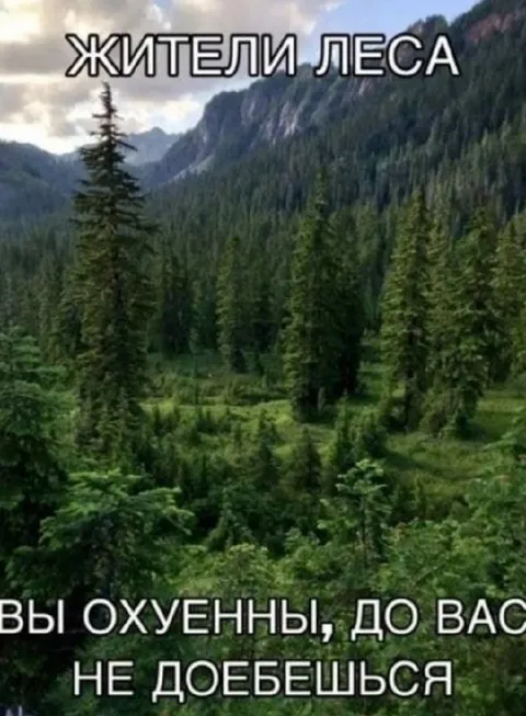 Жители леса недосягаемы