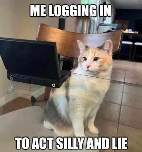 Cat Logging In to Lie