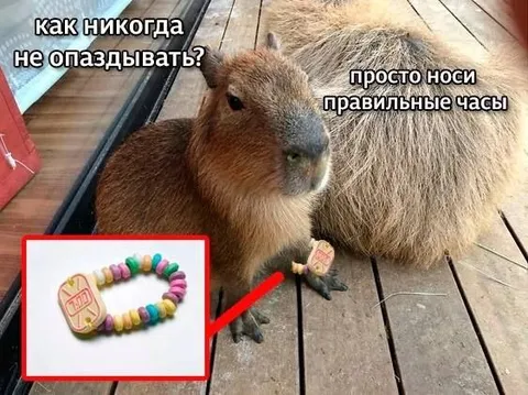 Правильные часы