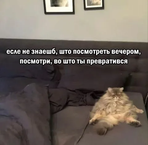 Во что ты превратишься вечером