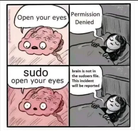 Sudo Open Your Eyes