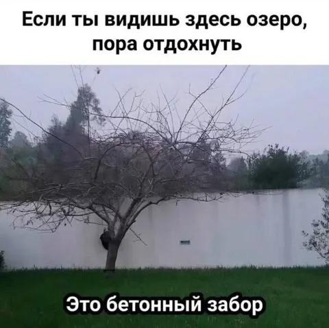 Озеро оказалось бетонным забором