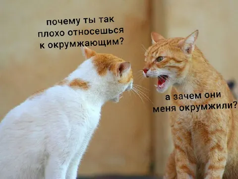 Почему ты плохо относишься к окружающим