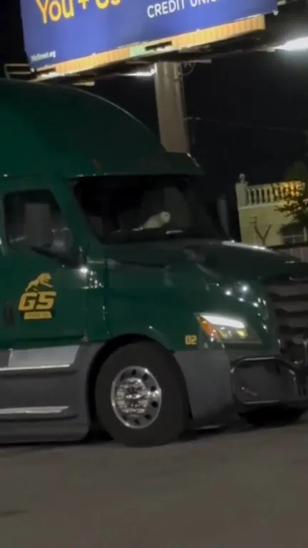Bird Driving a Big Rig