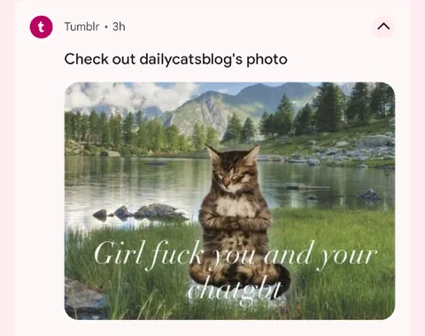 Cat Insults ChatGPT