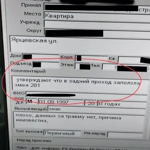 Змея в заднем проходе