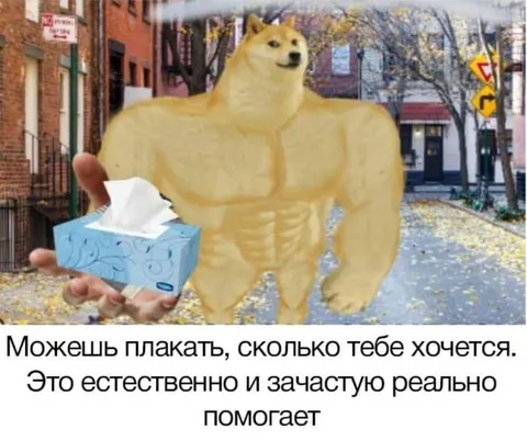 Сильный Doge разрешает плакать