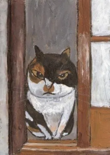 Кот в оконной раме