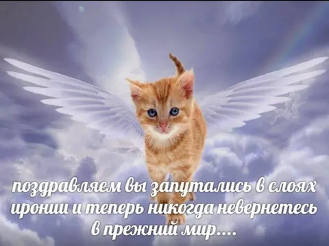 Запутались в слоях иронии