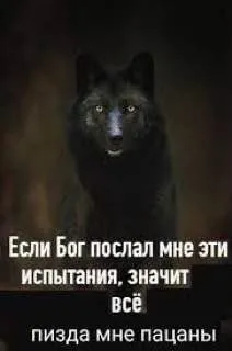 Если Бог послал испытания