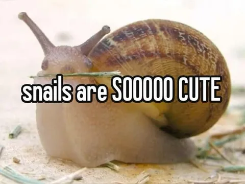 Snails Are Soooo Cute