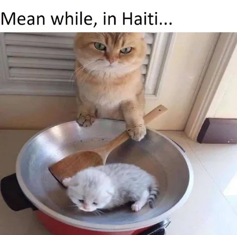 Mean while, in Haiti