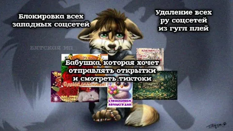 Бабушка и запрет соцсетей