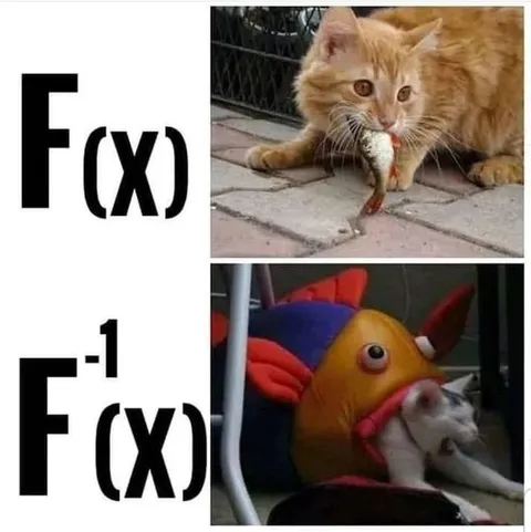 Кот и обратная функция