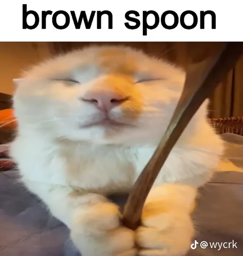 Cat Holding a Brown Spoon