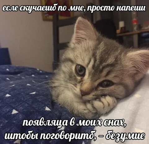 Если скучаешь — напиши