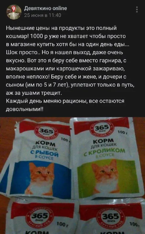 Корм для кошек вместо гарнира