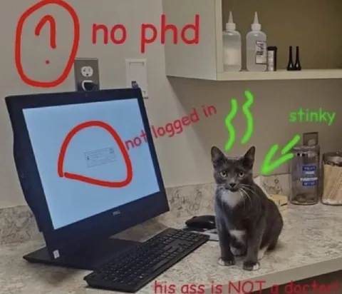 Stinky Cat Has No PhD