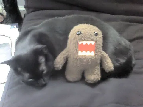 Кот и страшная игрушка