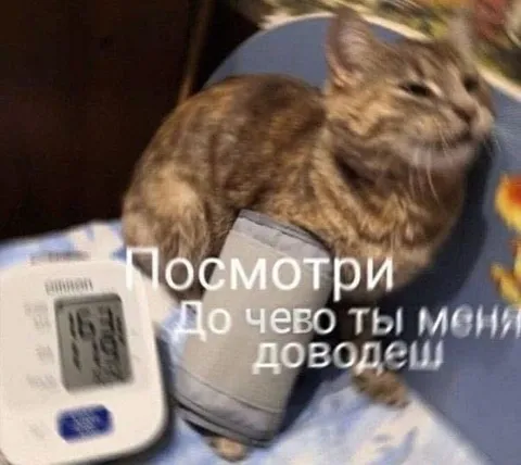 Посмотри до чего ты меня доводёш