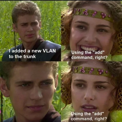Anakin Added a New VLAN
