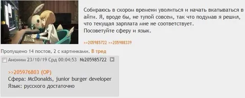 Junior burger developer в McDonalds