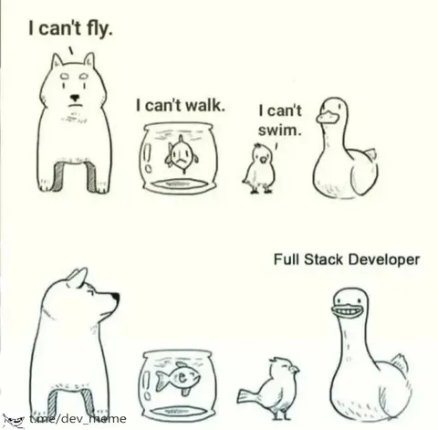 Full Stack Developer Animals