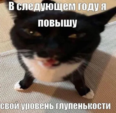 Кот повысит уровень глупенькости