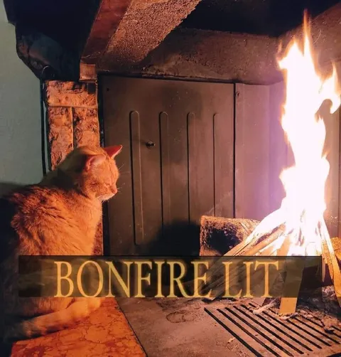 Bonfire Lit Cat