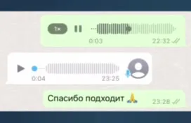 Голосовое сообщение вызывает динозавра