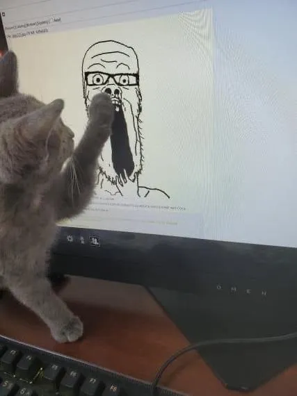 Кот дорисовывает бороду