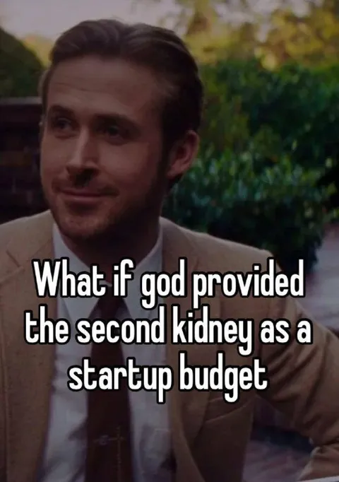 Second Kidney Startup Budget