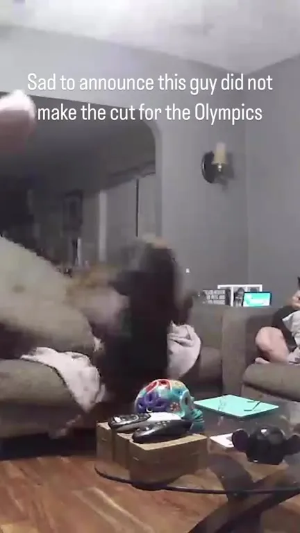 Dog Fails Olympic Tryouts