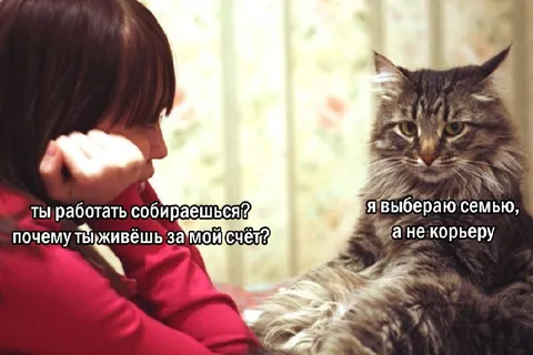 Выбираю семью, а не карьеру