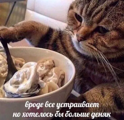 Хотелось бы больше денег