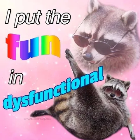 I Put the Fun in Dysfunctional