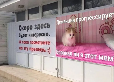 Деменция прогрессирует, мем украден