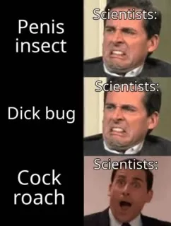 Scientists Hear Three Names for Cockroach