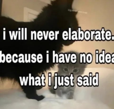 I Will Never Elaborate Cat