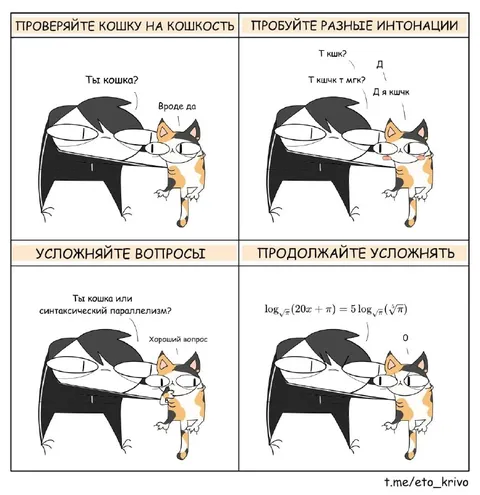 Проверяйте кошку на кошкость