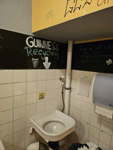 Guinness Recycling Sink
