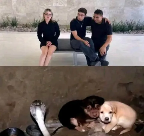Когда друзья нашли себе пару