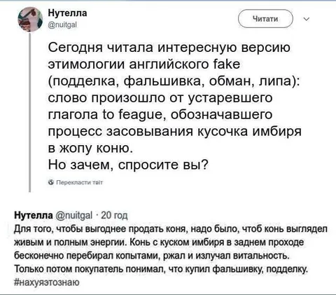 Фальшивый конь с имбирём
