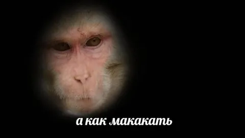 А как макакать
