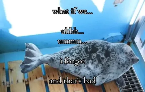What If We... I Forgot